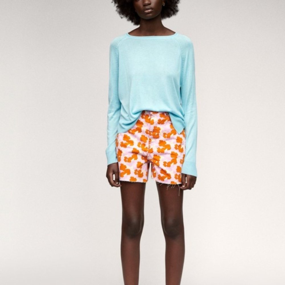 Zara Shorts